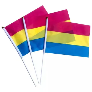 14X21cm Vikerkaare Lipp Lipuvarras Vikerkaar Gay Gei-Bi-ja Homoseksuaalsete Pansexuality Transseksuaalide LGBT Pride Festival Decor