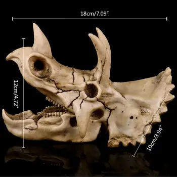 Triceratops Dinosaurus Kolju Vaik Käsitöö Fossiilsete Skelett Õpetamise Mudel Hallo Dropship
